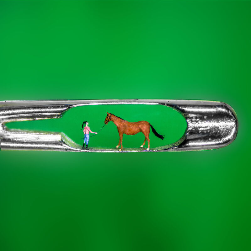 Calul Cheltenham (Prin amabilitatea lui Willard Wigan)