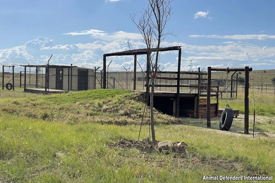 Habitatul lui Ruben. (Prin amabilitatea Animal Defenders International)
