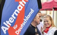 Miting electoral al celor de la Alternativa penru Germania (AfD) (Facebook - Alternative fur Deutschland)