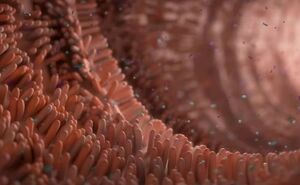  (YouTube Screenshot)