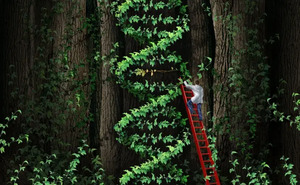  (wildpixel/Getty Images)