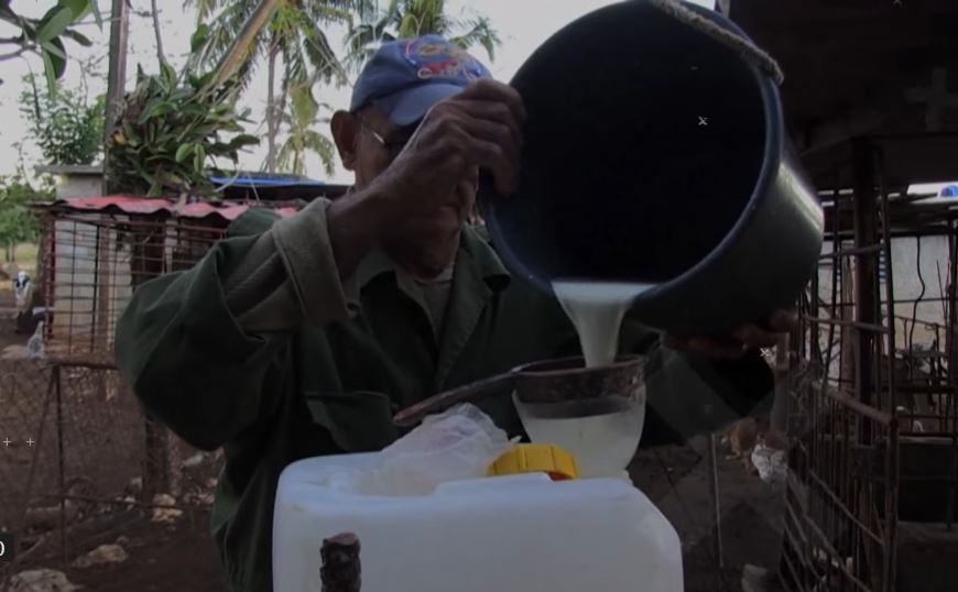 Cuba a cerut ajutorul Programului Alimentar Mondial pentru a garanta aprovizionarea cu lapte praf subvenţionat pentru copii