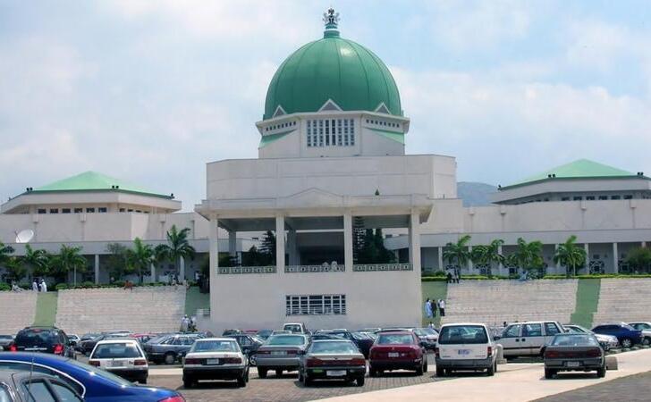 Senatul Nigeriei (Getty Images)