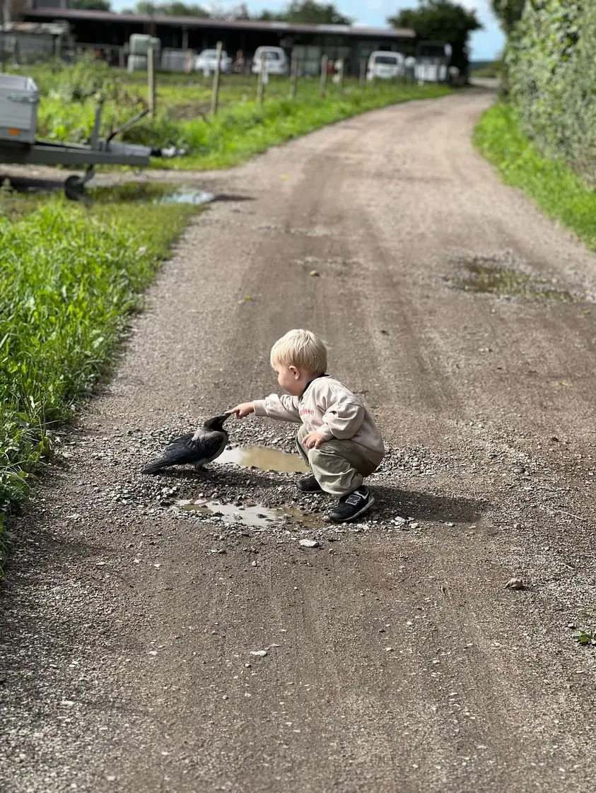 Foto: (Prin amabilitatea lui Laerke Luna)