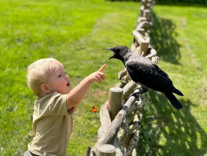 Foto: (Prin amabilitatea lui Laerke Luna)