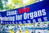 Un banner care cere încetarea recoltării forţate de organe de la practicanţii Falun Gong din China, afişat în timp ce practicanţii demonstrează meditaţia practicii spirituale, lângă Organizaţia Naţiunilor Unite din New York, 20 septembrie 2023. (Chung I Ho/The Epoch Times)