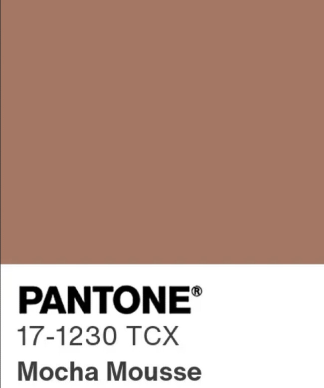 PANTONE 17-1230 Mocha Mousse (screenshot via PANTONE)