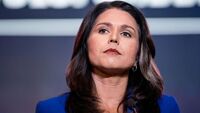 Tulsi Gabbard (Sean Rayford/Getty Images)