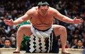 Hakuho este cel mai decorat luptător din istoria sumo-ului. (screenshot via foto John Gunning)