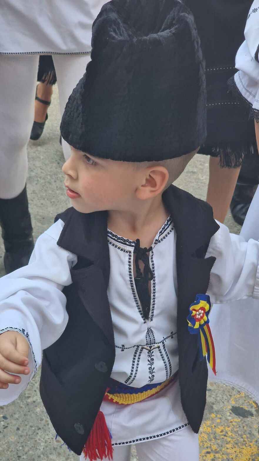 Festivalul Iei