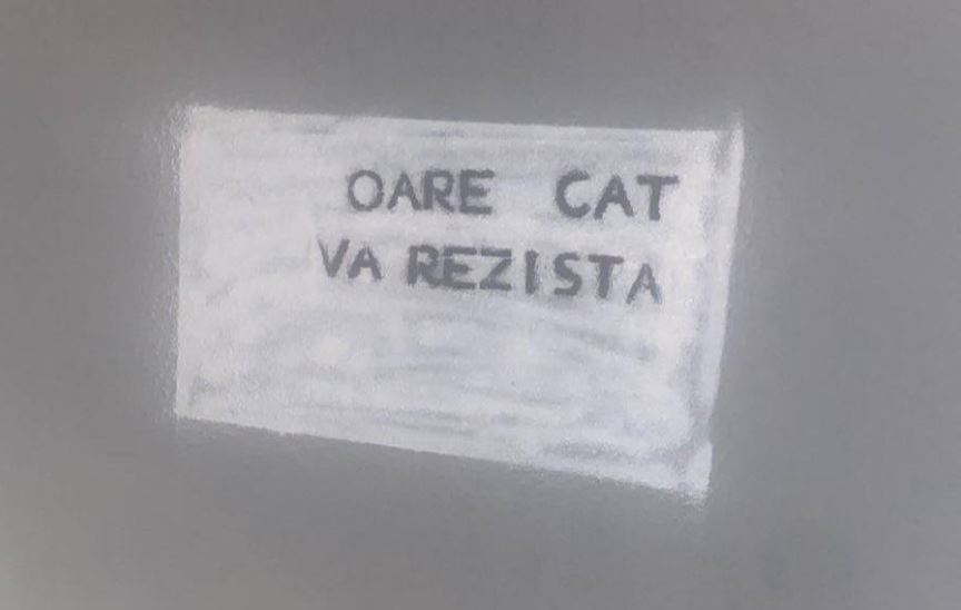 Gardul vandalizat (Facebook)