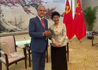 Adrian Năstase la Beijing (Facebook - Adrian Năstase)