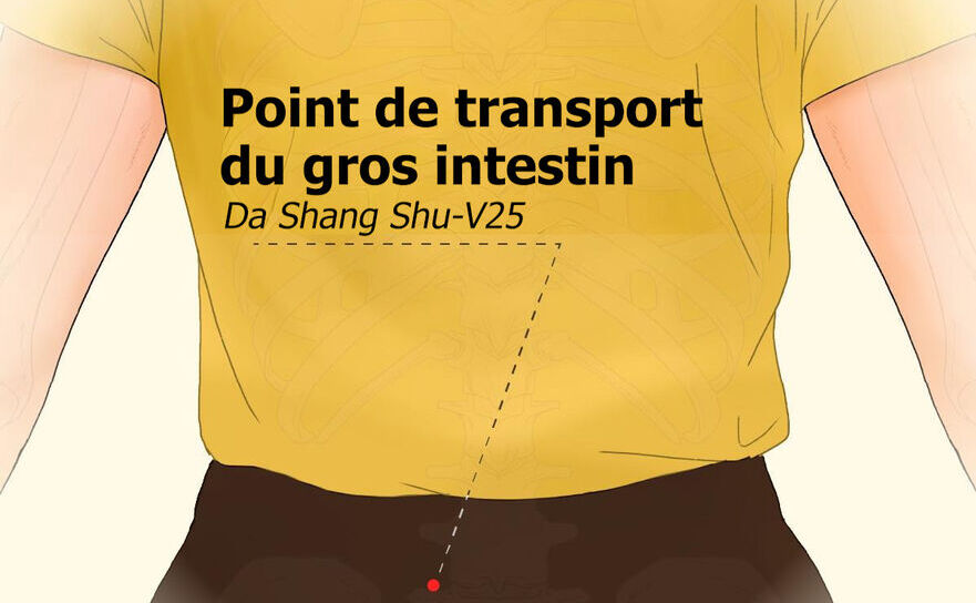 Punctul de transport al intestinului gros (Epoch Times)