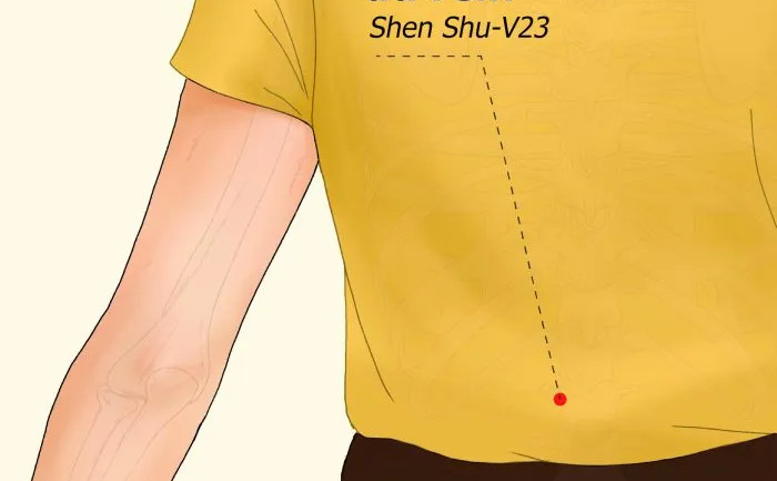 Punctul de transport al rinichiului (Epoch Times)