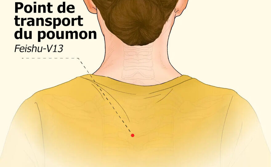 Punctul de transport al plămânului (Epoch Times)