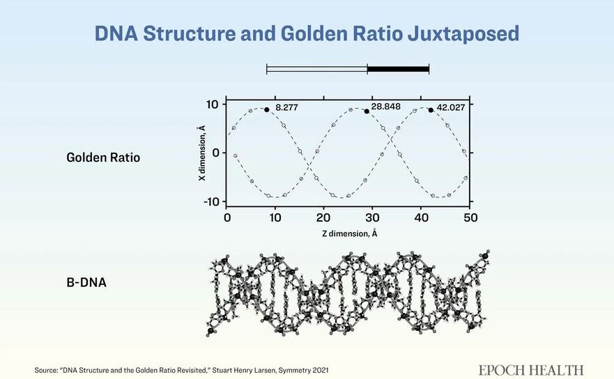 Ilustraţie realizată de The Epoch Times, cu amabilitatea lui Stuart Henry Larsen (Epoch Times)