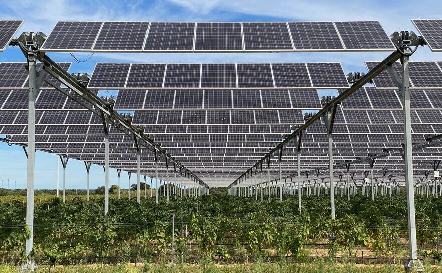 Panouri fotovoltaice (Ana Otilia Nuţu / Facebook)