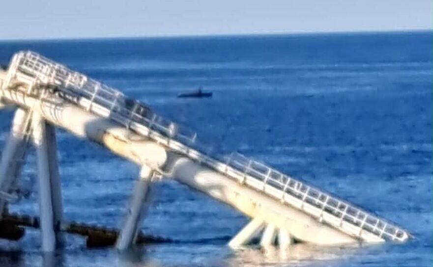 Dronă marină